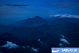 عکس:کروکودیل‌ها در عصر گرمایش زمین