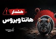اینفوتابناک/ هشدار هانتا ویروس