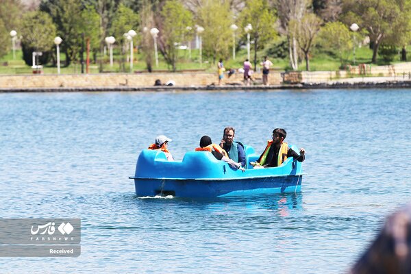 سراب نیلوفر جان گرفت/ عکس