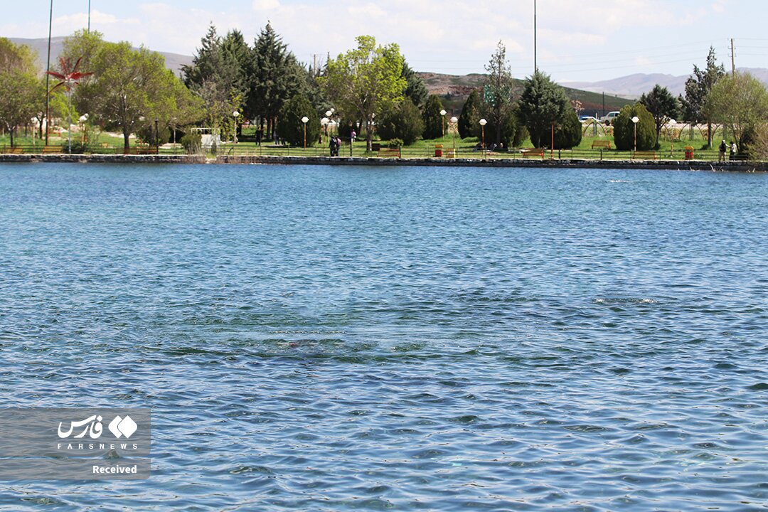 سراب نیلوفر جان گرفت/ عکس