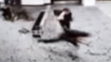 ویدیویی که ترامپ از لحظه آغاز تیراندازی منتشر کرد