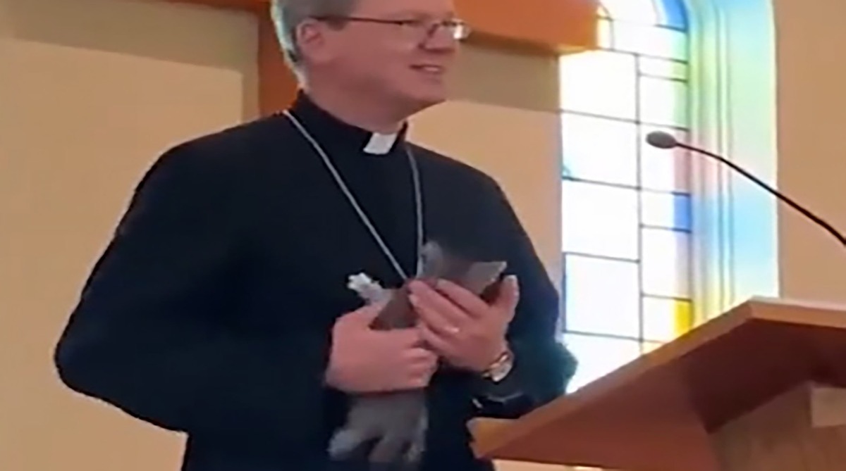 تلاش بامزه بچه گربه برای بالا رفتن از پدر روحانی