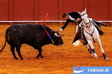 عکس: لئا ویسنس؛ از پاریس تا شکوه گاوبازی در میدان ماسترانزا