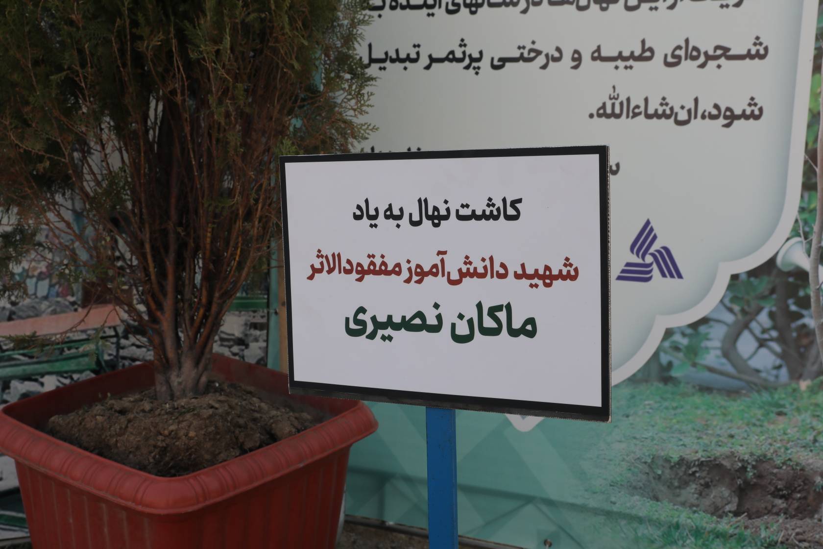 کاشت ۱۶۸ نهال در پارس خوددو به یاد شهدای میناب