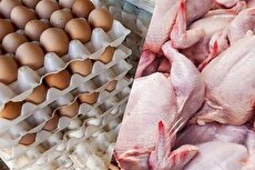 صبح یک قیمت، ظهر یک قیمت / گوشت و مرغ گران نشده است!