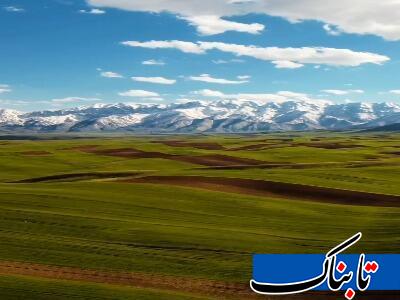 قالی کوه در الیگودرز زیبا