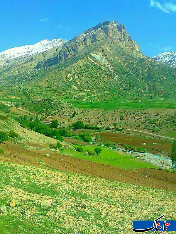 قالی کوه در الیگودرز زیبا