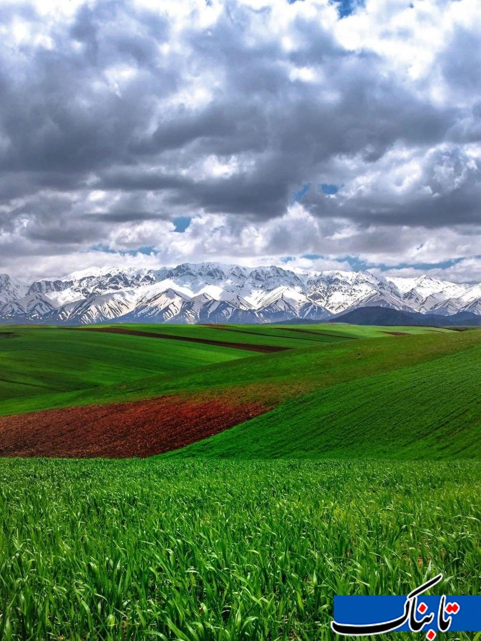 قالی کوه در الیگودرز زیبا