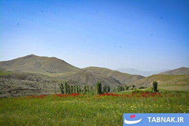 عکس:شازند؛ مقصدی برای دوستداران طبیعت