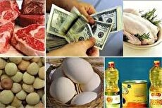 وقتی کالا هست، اما پول خرید نیست / چگونه شعار تولید، به واردات تبدیل شد؟ 