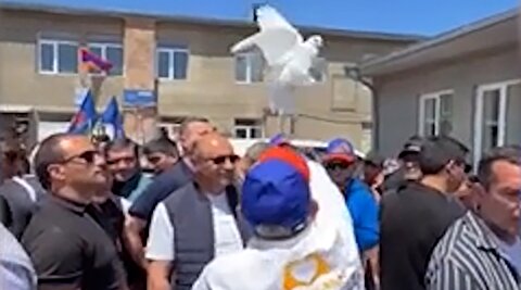 تلاش ناموفق برای رها کردن کبوتر به عنوان نماد صلح!