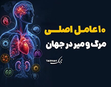 اینفوتابناک/ ۱۰ عامل اصلی مرگ و میر و در جهان