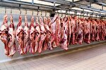 پشت پرده اختلاف عجیب قیمت گوشت در تهران؛ از گاو جوان تا گاو حذفی