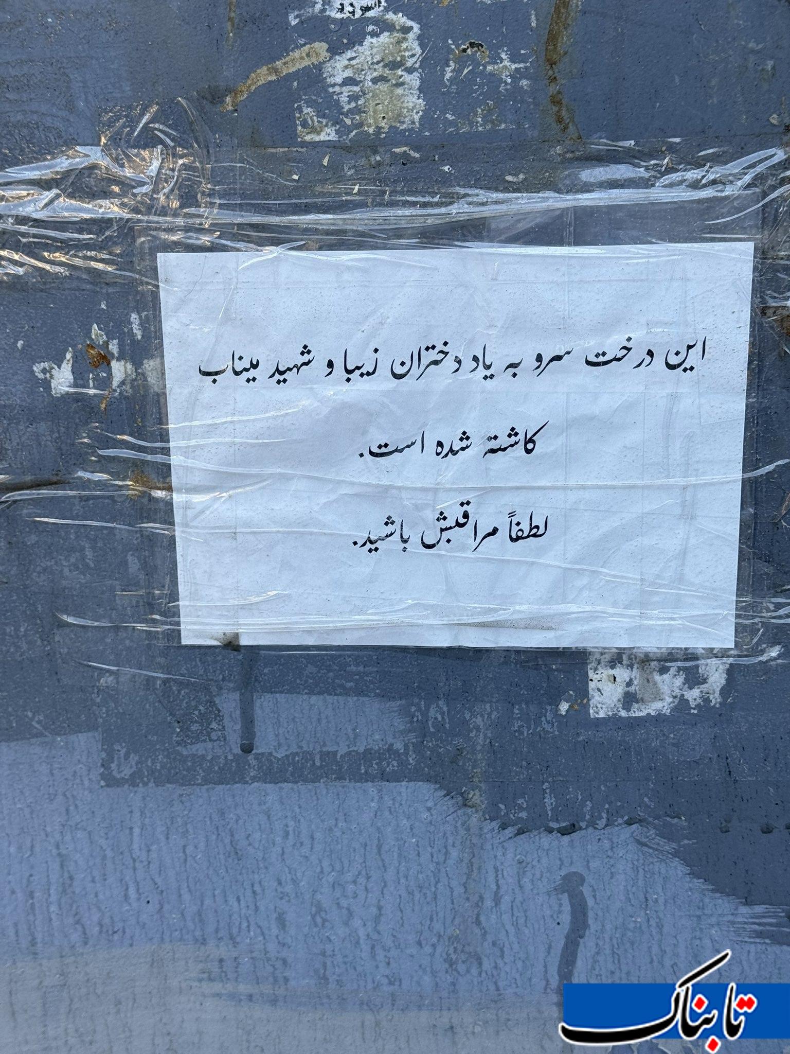 یادبودی برای دختران آسمانی میناب