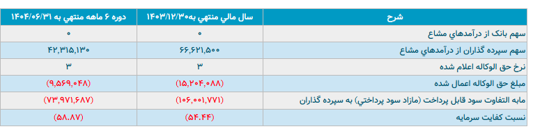 کفایت سرمایه منفی ۵۸.۸ درصدی مؤسسه ملل / زیان ماهانه ۲ هزار میلیارد تومانی؛ ادغام یا انحلال در راه است؟