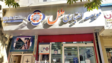 کفایت سرمایه منفی ۵۸.۸ درصدی مؤسسه ملل / زیان ماهانه ۲ هزار میلیارد تومانی؛ ادغام یا انحلال در راه است؟