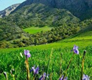 عکس | تصاویر رویایی از زیبایی بهار در استان ایلام