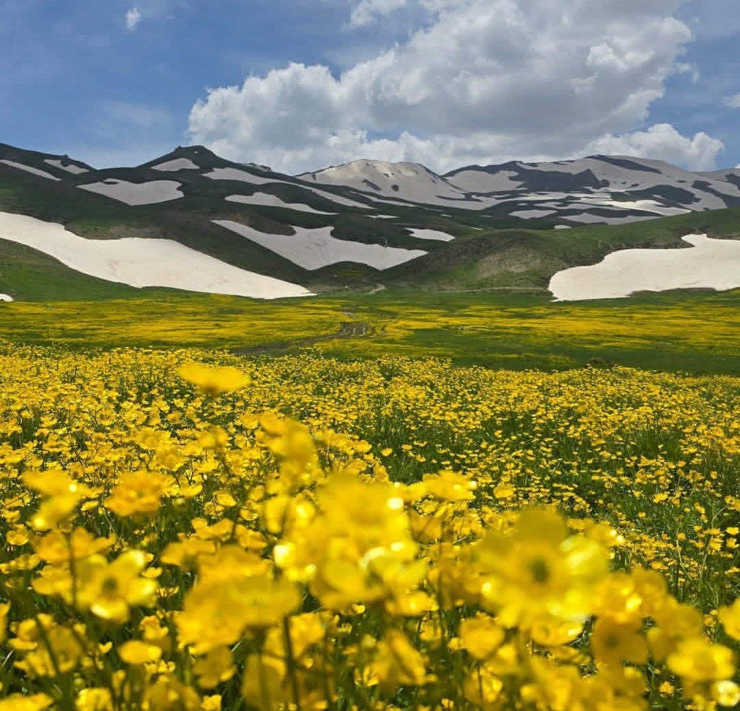 عکس دیدنی: قابی از بهشت در ارتفاعات اشنویه
