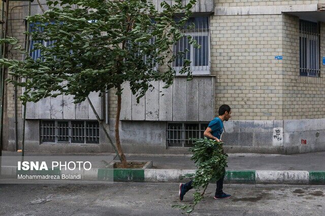 وزش باد شدید در تهران