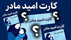 کارت امید، هورمونی بی‌اثر در افزایش جمعیت/ حمایت به اندازه چند روز پوشک و شیرخشک