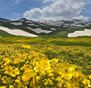 عکس دیدنی: قابی از بهشت طلایی در ارتفاعات اشنویه