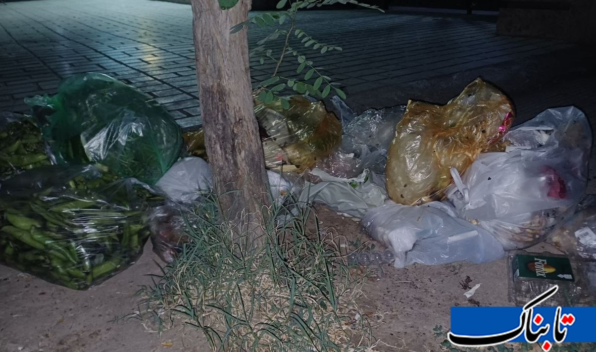 «طرحتان» را به زبالهدان بفرستید، سطلهای زباله ما را برگردانید «طرحتان» را به زبالهدان بفرستید، سطلهای زباله ما را برگردانید