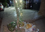 «طرح‌تان» را به زباله‌دان بفرستید، سطل‌های زباله‌...