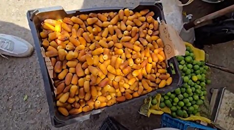 تصاویر تماشایی از بازار رطب نوبر میناب