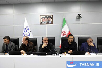 عکس: نشست مجازی مجلس شورای اسلامی