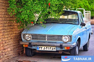 عکس: سرخی شکوفه‌های انار بر تن کویر
