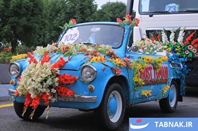عکس: سفر به دنیای ماشین‌های گل‌گلی