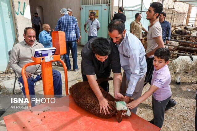 جگر دام را نخورید