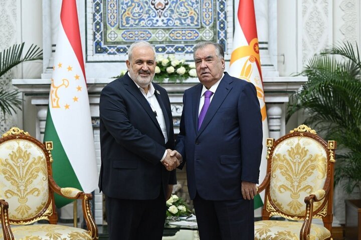 دیدار وزیر نیرو ایران با رئیسجمهور تاجیکستان