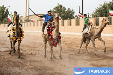 عکس: مسابقات شترسواری در شاهدیه یزد