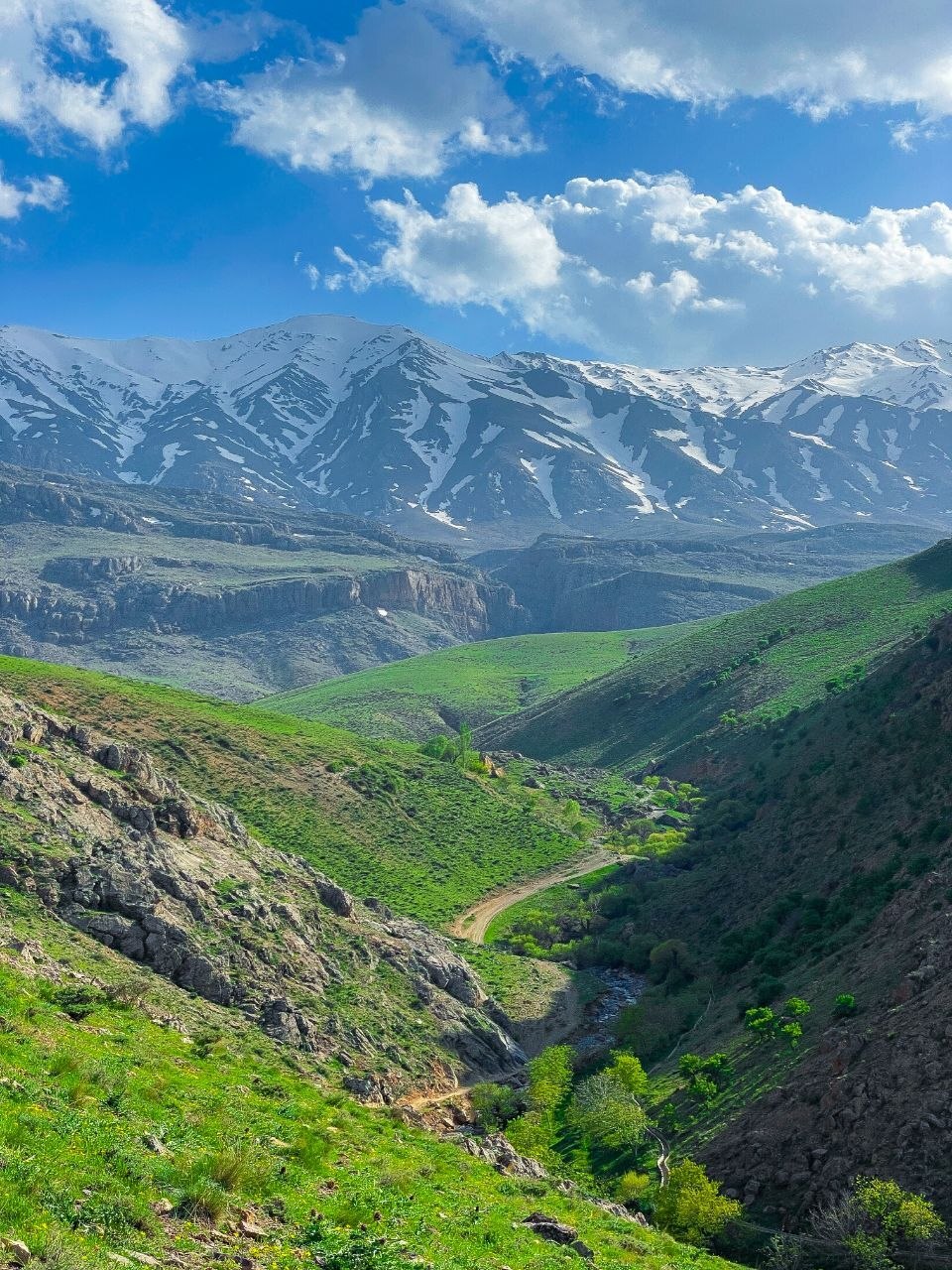 طبیعت بهشتی کوهستان گرین نهاوند در تابستان