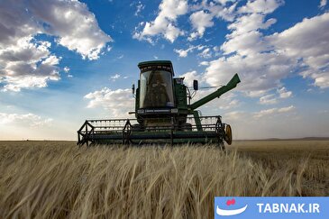 عکس: برداشت هزار هکتار گندم و جو دیم در اراضی کردستان