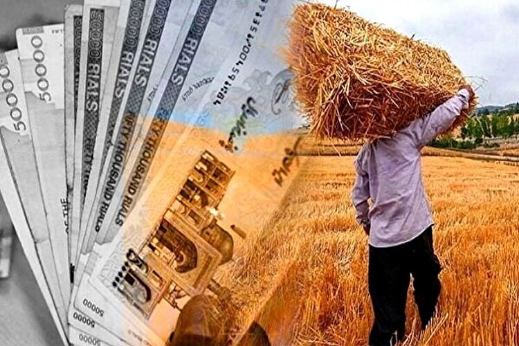 بدهی غول‌آسای دولت به کشاورزان/  ۱۶۵ هزار میلیارد تومان که هیچ‌کس نمی‌داند کجاست !