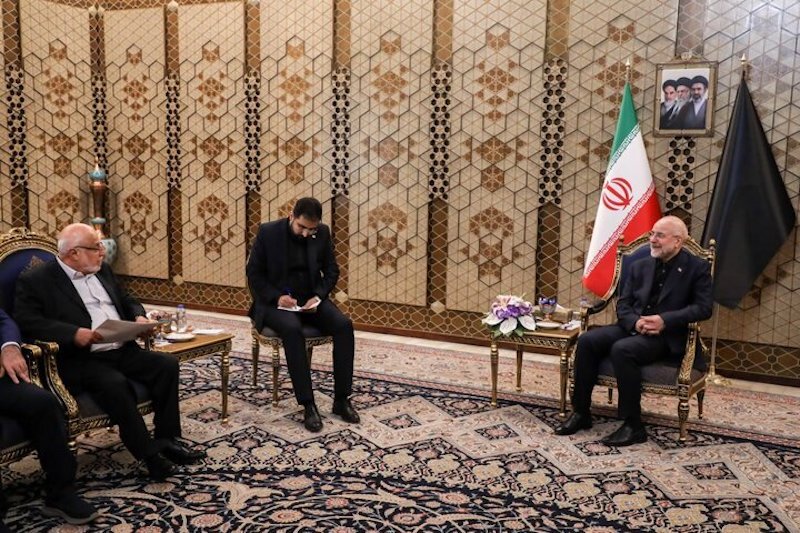 دیدار عضو ارشد جنبش امل لبنان با قالیباف + عکس