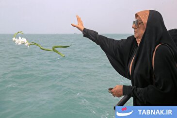 عکس: گلباران محل شهادت ۲۹۰ مسافر ایرباس