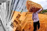 بدهی غول‌آسای دولت به کشاورزان/  ۱۶۵ هزار میلیارد...