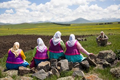 عکس: روزهای پایانی عشایر گرجستان؛ روایتی تصویری از یک سنت در حال زوال