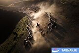 عکس‌های روز جهان: از دریچه تابناک