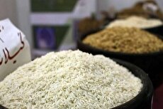 برنج وارداتی در انبار، گرانی در بازار/ فرمول عجیب برای تنظیم قیمت‌ها!