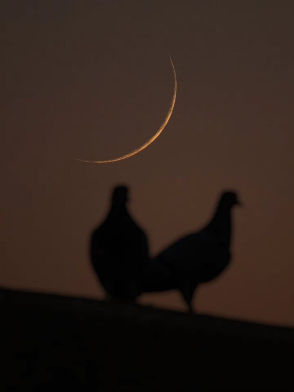 عکس: تصویری از هلال ماه صفر