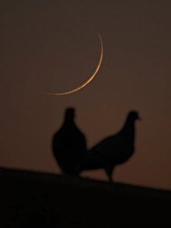 عکس: تصویری از هلال ماه صفر