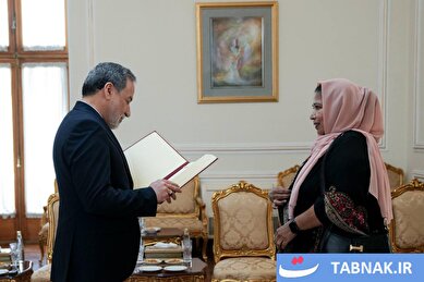 عکس: دیدار سفرای جدید ایرانی و خارجی با عراقچی