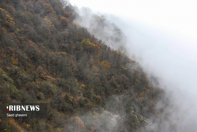 پاییز هزار رنگ در ارسباران مه آلود