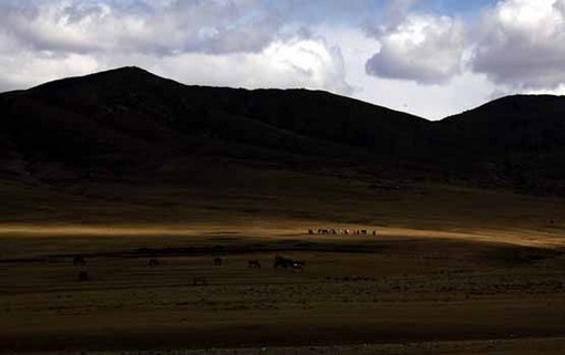 مغولستان به رغم این که کشور پهناوری است، یکی از کم&zwnj;تراکم&zwnj;ترین کشورهای جهان است. به همین دلیل، این کشور پوشیده از استپ&zwnj;های زیباست و یکی از وحشی&zwnj;ترین مناطق طبیعی جهان به شمار می&zwnj;آید.
David Gray / Reuters
