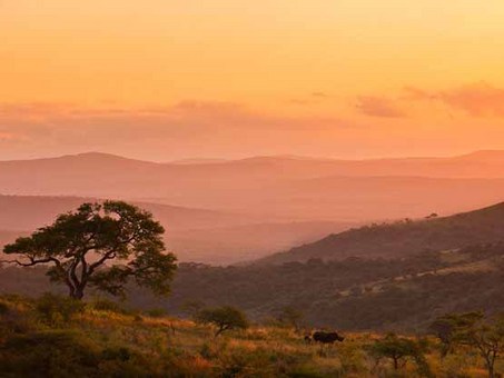 بچه کرگدن و مادرش، آفریقای جنوبی
Brent Stirton
