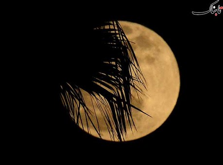 کالیفرنیا، Joe Klamar/AFP/Getty Images